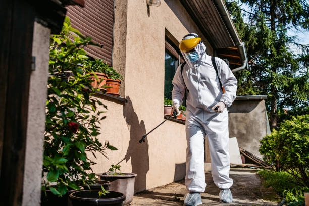 Best Affordable Pest Control Services  in New Albany, IN
