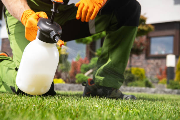 Best Residential Pest Control  in New Albany, IN