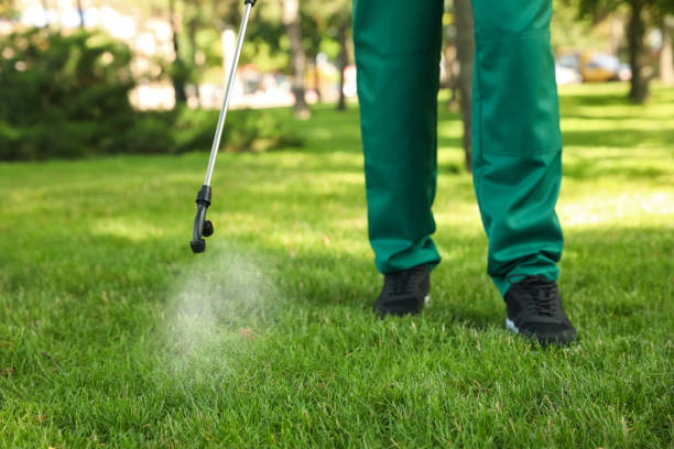 Best Mosquito Control Services  in New Albany, IN