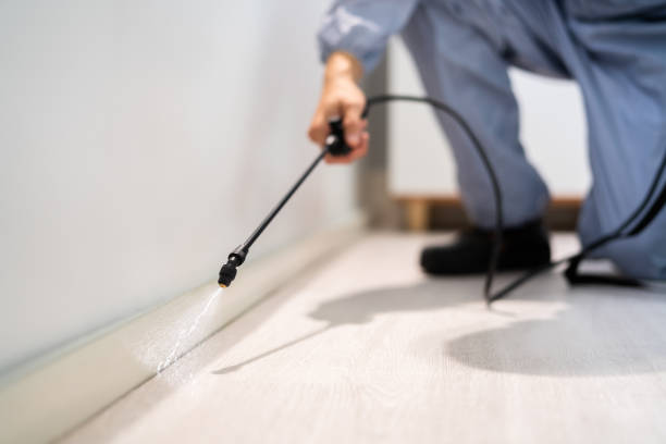 Professional Pest Control in New Albany, IN
