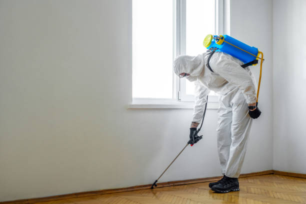 Best Termite Control Services  in New Albany, IN